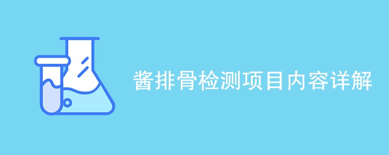 酱排骨检测项目内容详解