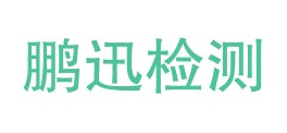 四川鹏迅检测技术有限公司LOGO