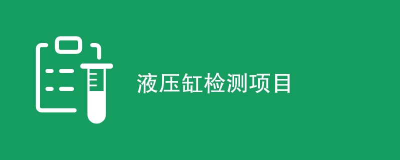 液压缸检测项目（最新项目一览）