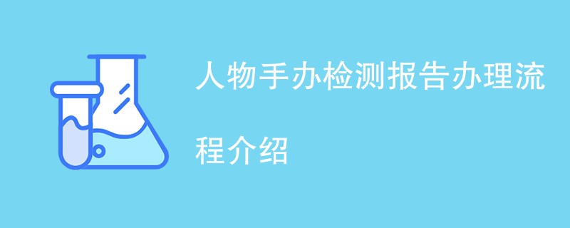 人物手办检测报告办理流程介绍