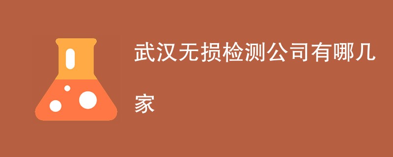 武汉无损检测公司有哪几家