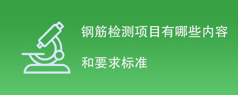 钢筋检测项目有哪些内容和要求标准