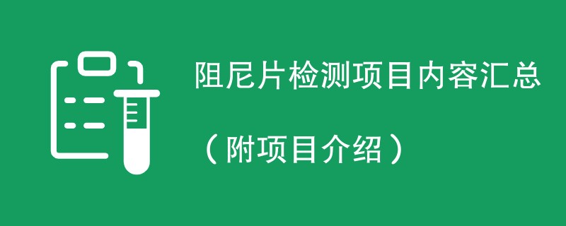 阻尼片检测项目内容汇总（附项目介绍）