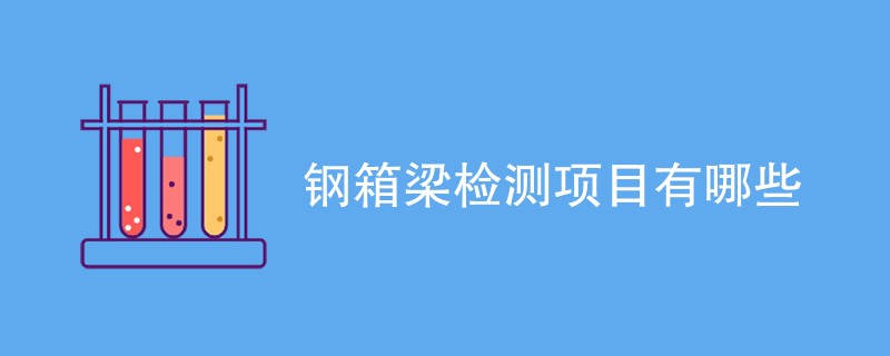 钢箱梁检测项目有哪些