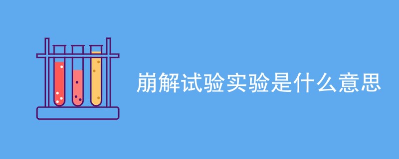 崩解试验实验是什么意思