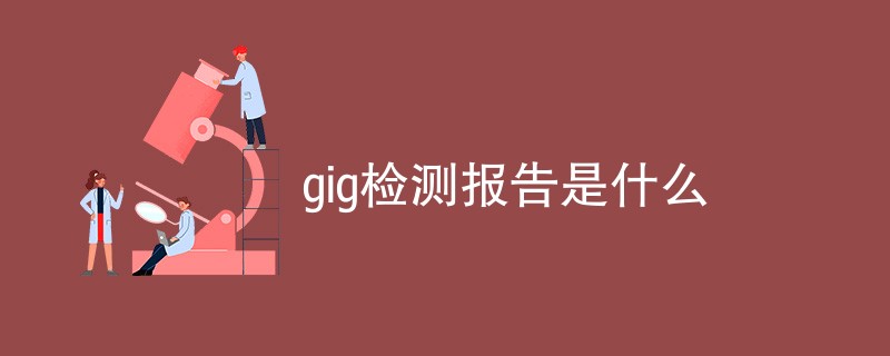 gig检测报告是什么（详细介绍）