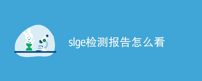 slge检测报告怎么看（报告阅读指南）