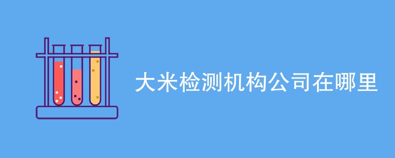 大米检测机构公司在哪里