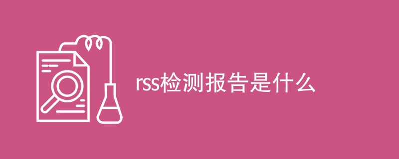 rss检测报告是什么（内容详解）