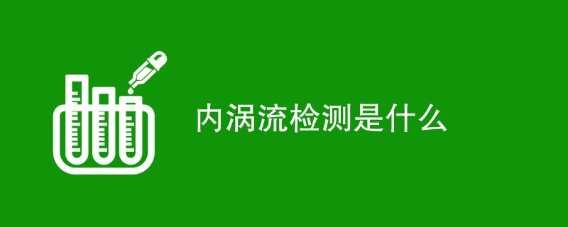 内涡流检测是什么