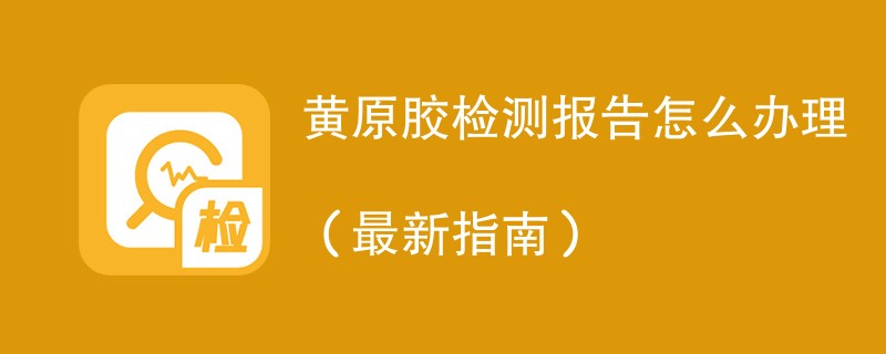 黄原胶检测报告怎么办理（最新指南）