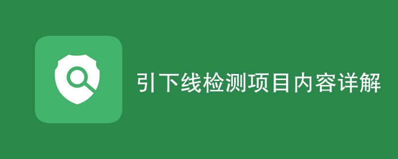 引下线检测项目内容详解