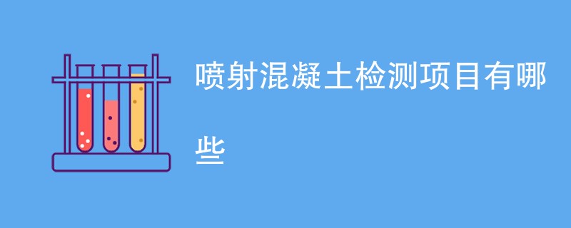 喷射混凝土检测项目有哪些