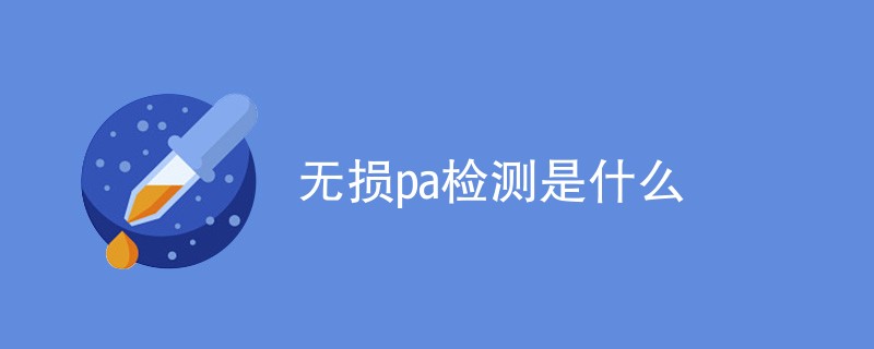 无损pa检测是什么