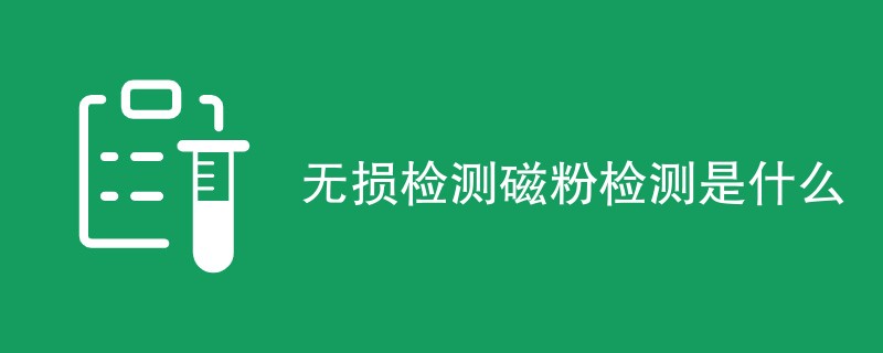 无损检测磁粉检测是什么