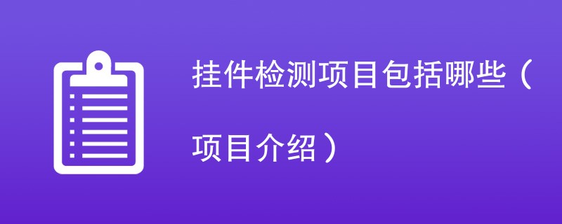 挂件检测项目包括哪些（项目介绍）