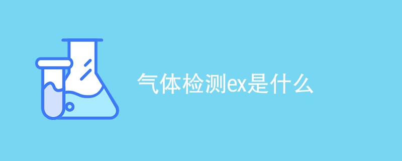 气体检测ex是什么