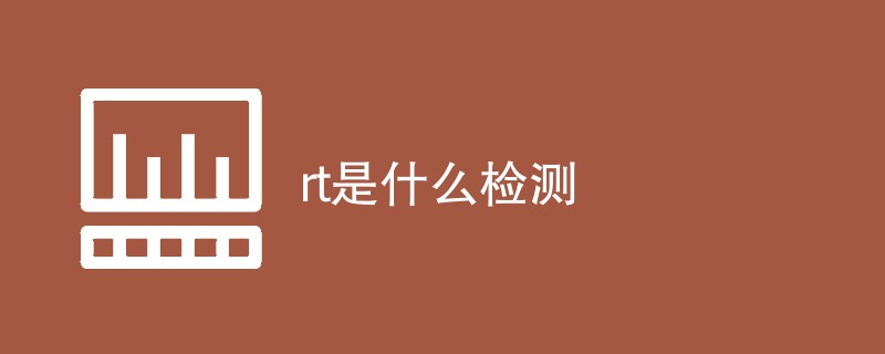 rt是什么检测