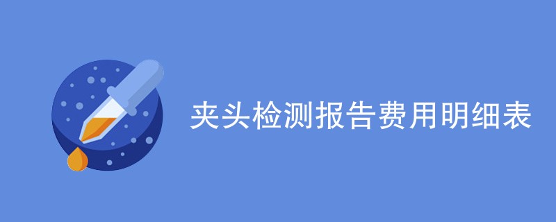 夹头检测报告费用明细表