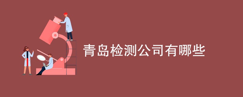 青岛检测公司有哪些