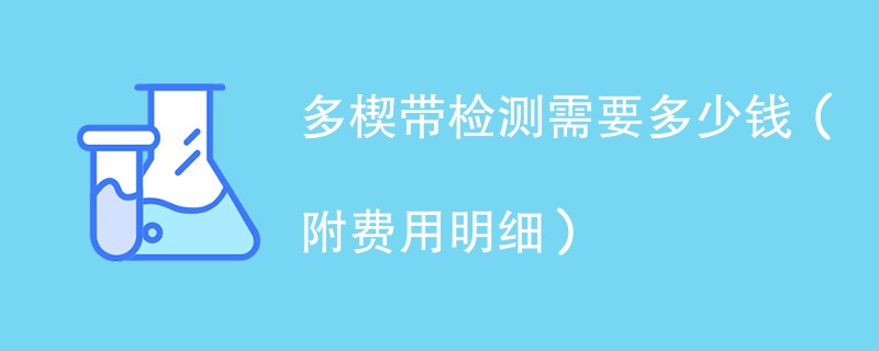 多楔带检测需要多少钱（附费用明细）