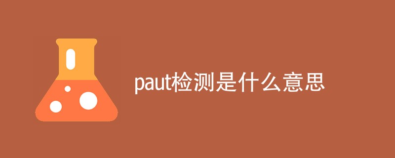 paut检测是什么意思