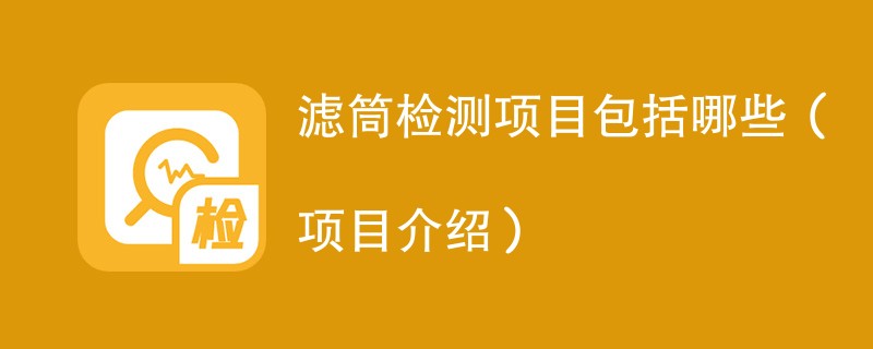 滤筒检测项目包括哪些（项目介绍）