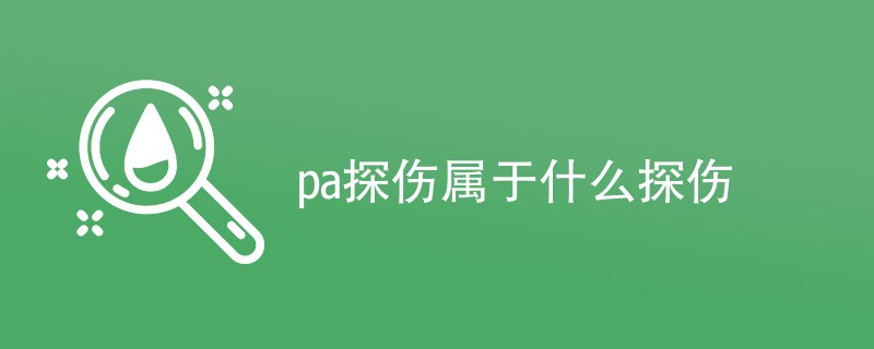 pa探伤属于什么探伤