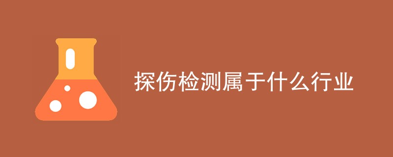 探伤检测属于什么行业