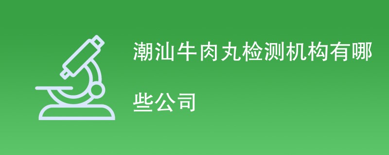 潮汕牛肉丸检测机构有哪些公司