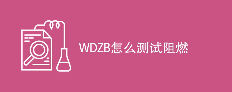 WDZB怎么测试阻燃