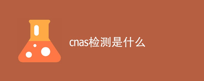 cnas检测是什么