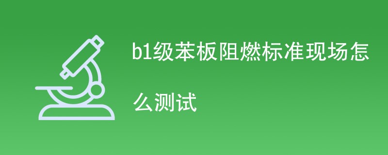 b1级苯板阻燃标准现场怎么测试