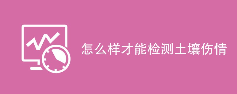 怎么样才能检测土壤伤情