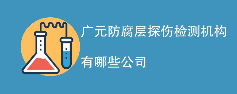 广元防腐层探伤检测机构有哪些公司