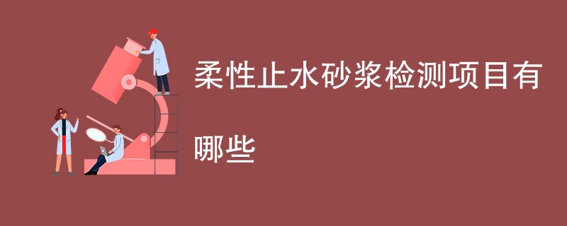 柔性止水砂浆检测项目有哪些