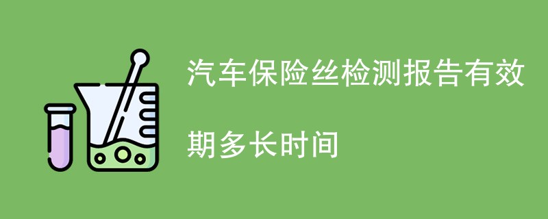 汽车保险丝检测报告有效期多长时间