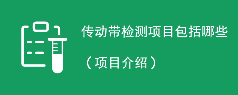 传动带检测项目包括哪些（项目介绍）