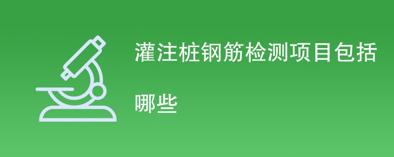 灌注桩钢筋检测项目包括哪些