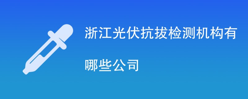 浙江光伏抗拔检测机构有哪些公司