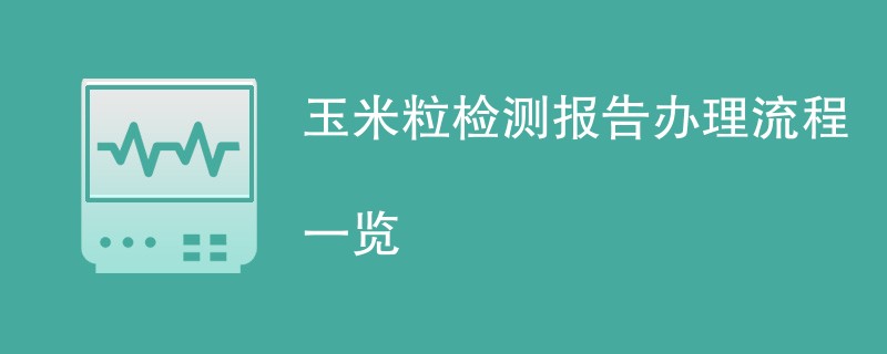 玉米粒检测报告办理流程一览