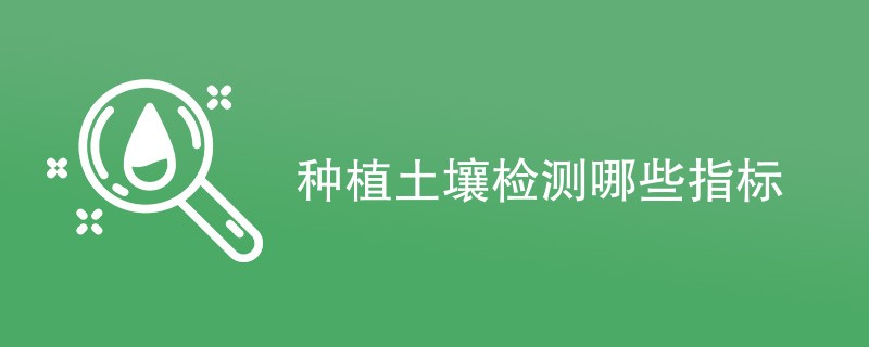 种植土壤检测哪些指标