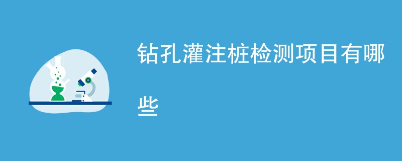 钻孔灌注桩检测项目有哪些