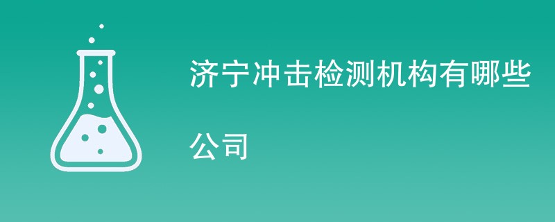 济宁冲击检测机构有哪些公司