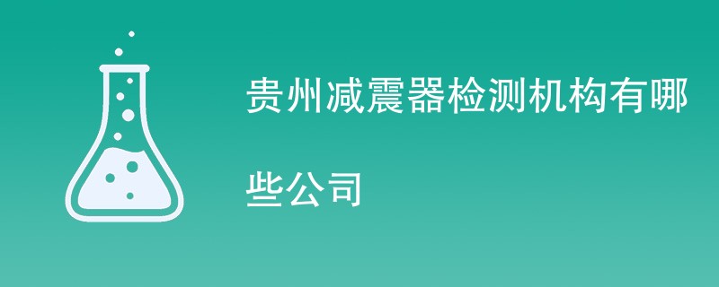 贵州减震器检测机构有哪些公司