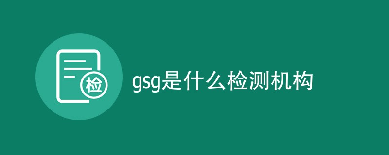 gsg是什么检测机构