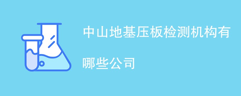 中山地基压板检测机构有哪些公司