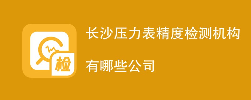 长沙压力表精度检测机构有哪些公司