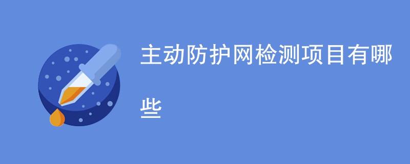 主动防护网检测项目有哪些