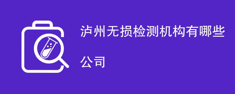 泸州无损检测机构有哪些公司